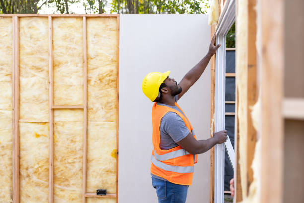 Best Professional Insulation Contractor  in Emporia, KS