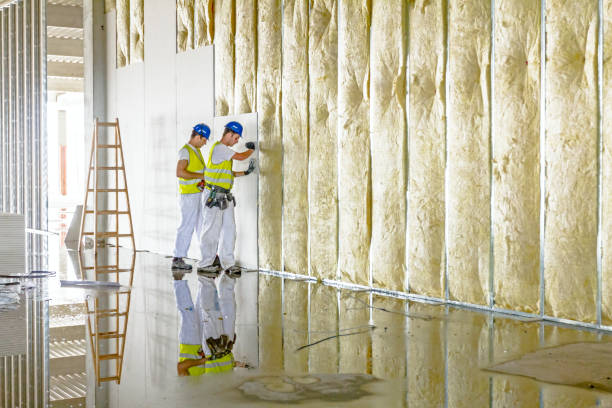 Best Insulation for Commercial Buildings  in Emporia, KS